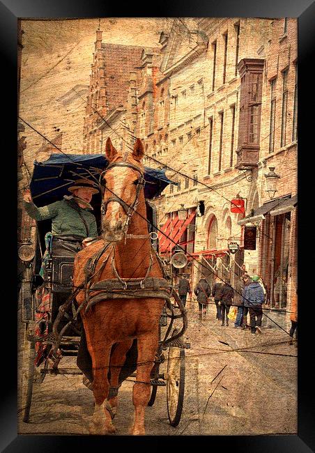  Horse and Driver in Brugge  Framed Print by sylvia scotting