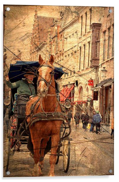  Horse and Driver in Brugge  Acrylic by sylvia scotting