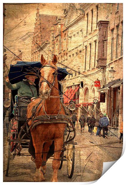  Horse and Driver in Brugge  Print by sylvia scotting