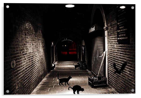  Alley Cats Acrylic by sylvia scotting