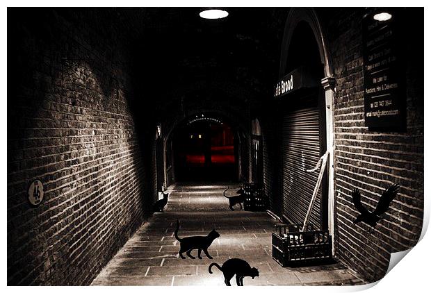  Alley Cats Print by sylvia scotting