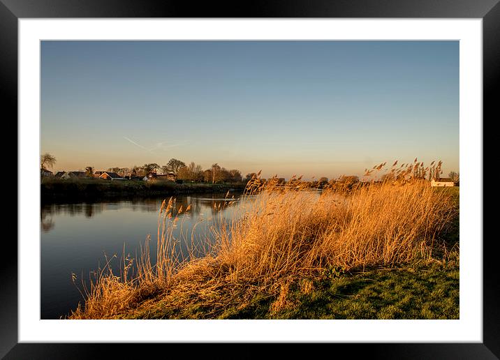  golden grass Framed Mounted Print by stephen king