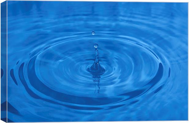 Water Drip Canvas Print by Gary Kenyon