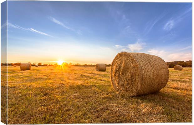  Sun beams and hay Canvas Print by adam rumble