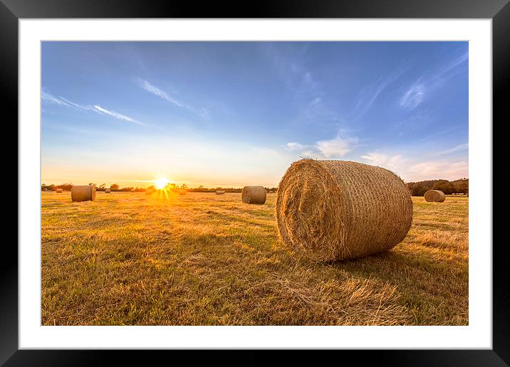  Sun beams and hay Framed Mounted Print by adam rumble