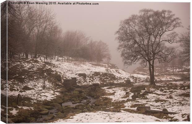  Winter at Dovestone Canvas Print by Sean Wareing