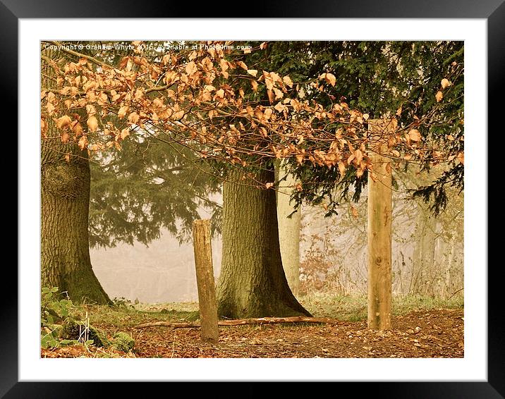 50 SHADES OF BROWN - NORTH DOWNS Framed Mounted Print by Graham Whyte