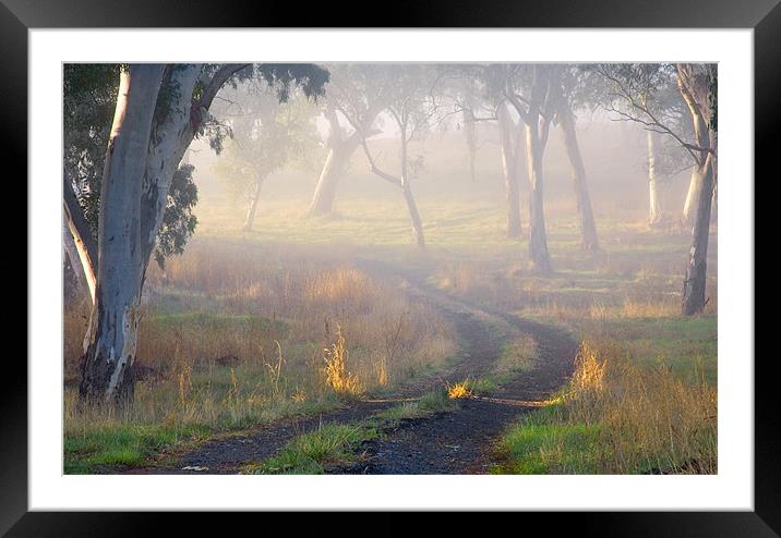 Into the Mist Framed Mounted Print by Mike Dawson