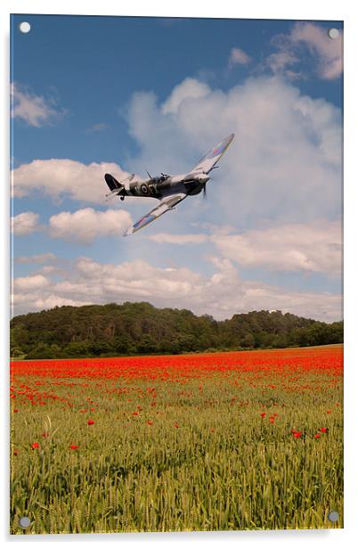 Spitfire Poppies  Acrylic by J Biggadike