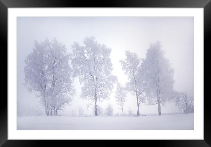  Ghostly Trees in the Winter Mist Framed Mounted Print by Jenny Rainbow