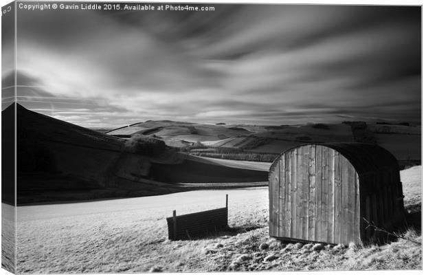  Shed in the Cheviots Canvas Print by Gavin Liddle