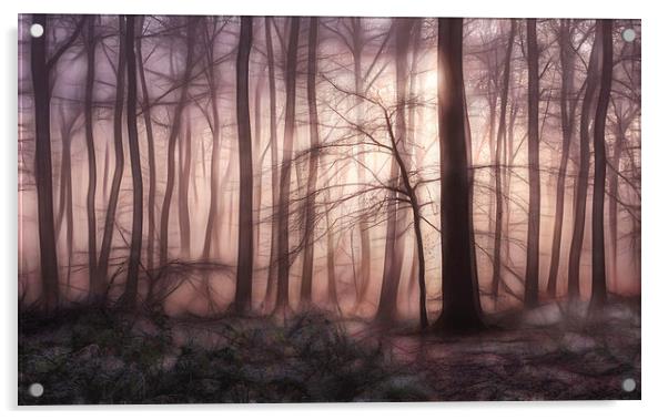  Woodland Dawn Acrylic by Ceri Jones