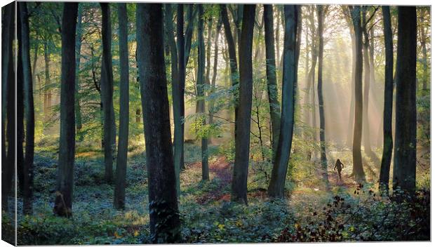  Woodland Jogger Canvas Print by Ceri Jones