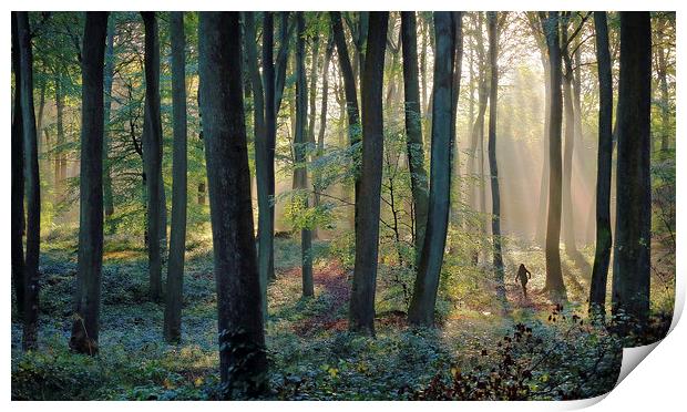  Woodland Jogger Print by Ceri Jones