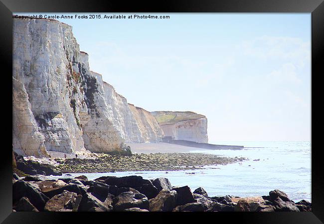   Chalk Cliffs at Saltdean East Sussex Framed Print by Carole-Anne Fooks