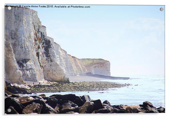   Chalk Cliffs at Saltdean East Sussex Acrylic by Carole-Anne Fooks
