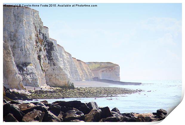   Chalk Cliffs at Saltdean East Sussex Print by Carole-Anne Fooks
