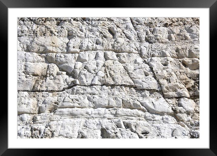   Detail Chalk Cliffs Saltdean East Sussex Framed Mounted Print by Carole-Anne Fooks