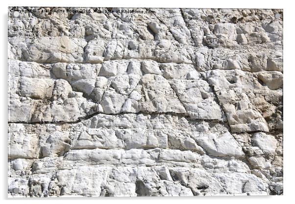   Detail Chalk Cliffs Saltdean East Sussex Acrylic by Carole-Anne Fooks