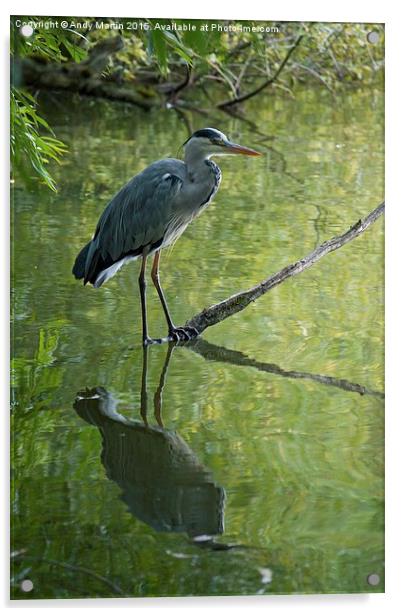  Grey Heron  Acrylic by Andy Martin