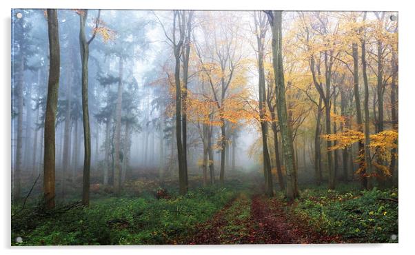  Two Woods Acrylic by Ceri Jones