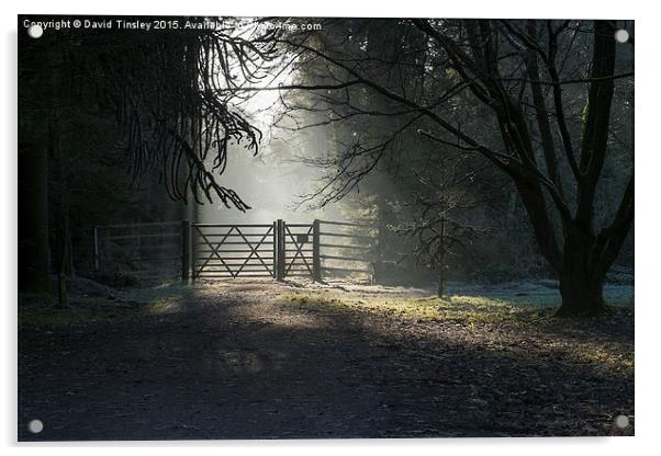  Sunlit Gateway Acrylic by David Tinsley