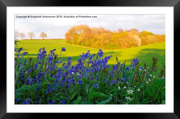  Bluebells on the verge with woodland view Framed Mounted Print by Elizabeth Debenham
