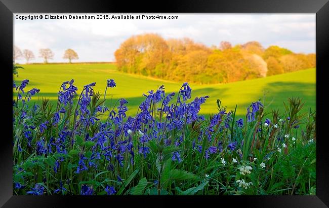  Bluebells on the verge with woodland view Framed Print by Elizabeth Debenham
