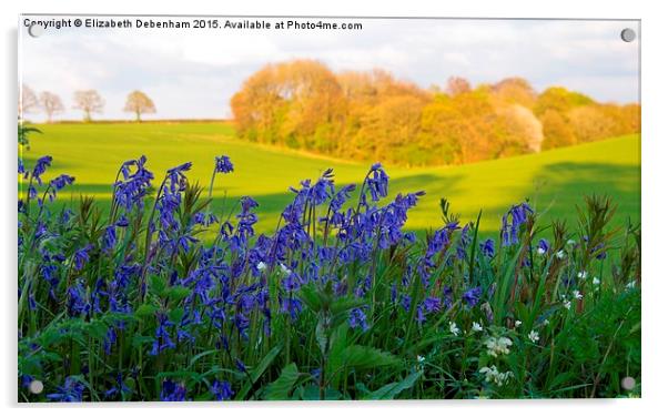  Bluebells on the verge with woodland view Acrylic by Elizabeth Debenham