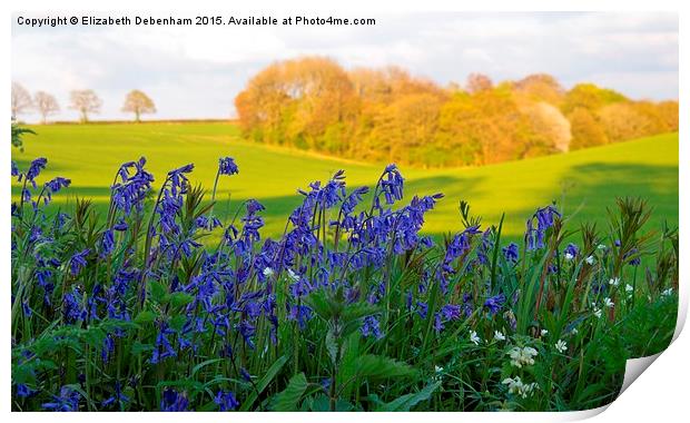  Bluebells on the verge with woodland view Print by Elizabeth Debenham