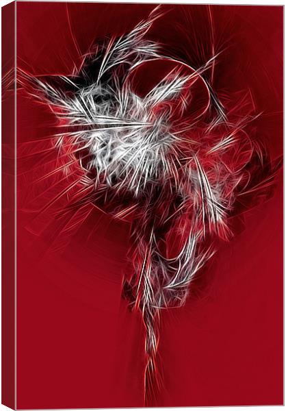 Fractal Feathers Canvas Print by Ann Garrett
