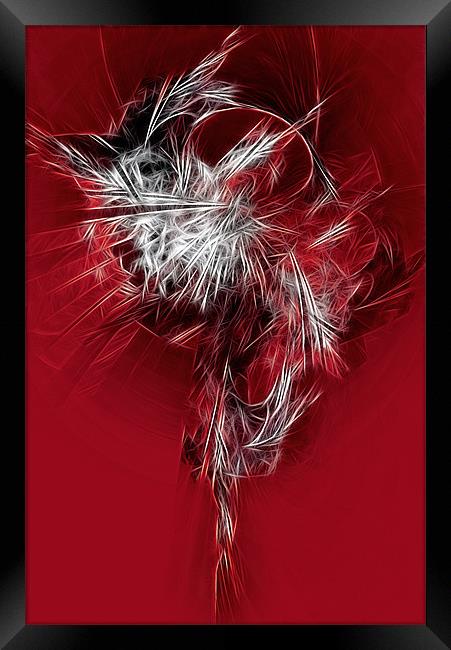 Fractal Feathers Framed Print by Ann Garrett