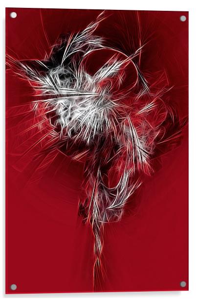 Fractal Feathers Acrylic by Ann Garrett