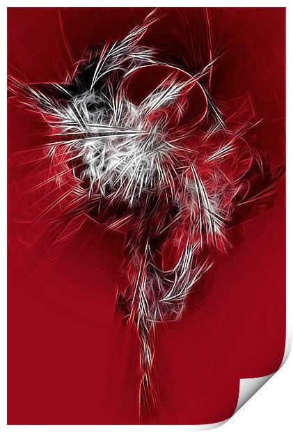 Fractal Feathers Print by Ann Garrett
