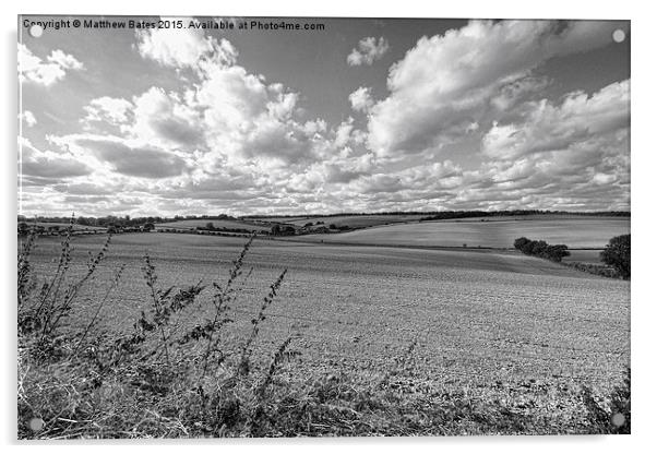 Farmland near Farnborough Acrylic by Matthew Bates