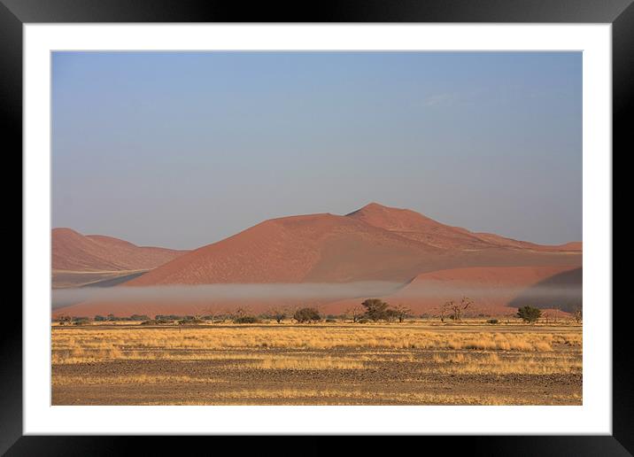 Sossusvlei sand dune national park Framed Mounted Print by Gail Johnson