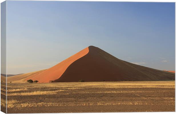 Sossusvlei sand dune national park Canvas Print by Gail Johnson