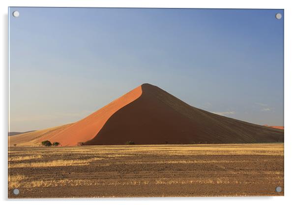 Sossusvlei sand dune national park Acrylic by Gail Johnson