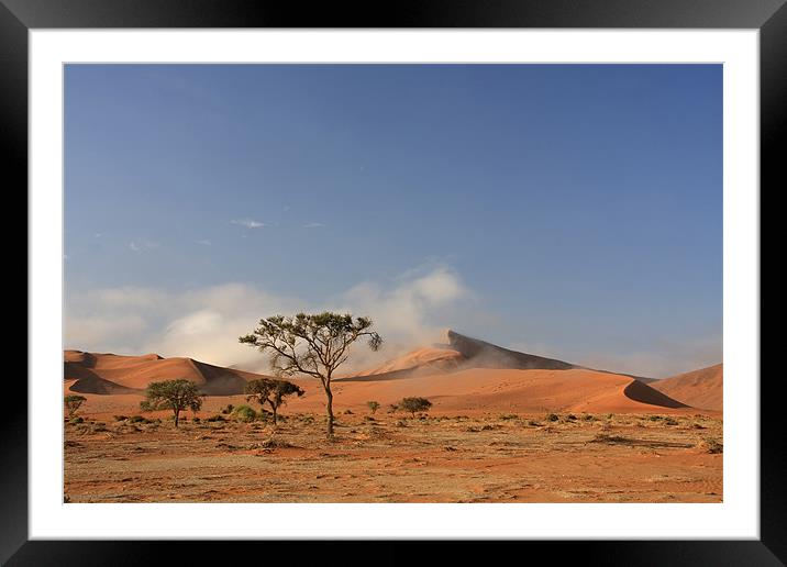 Sossusvlei sand dune national park Framed Mounted Print by Gail Johnson