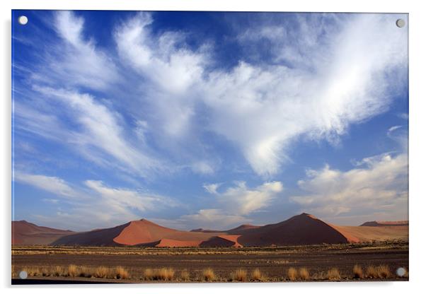 Sossusvlei Dune National park Acrylic by Gail Johnson