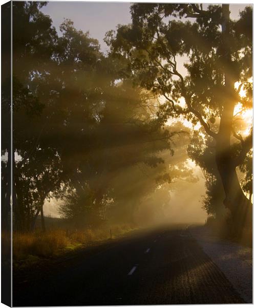The Road less Traveled Canvas Print by Mike Dawson