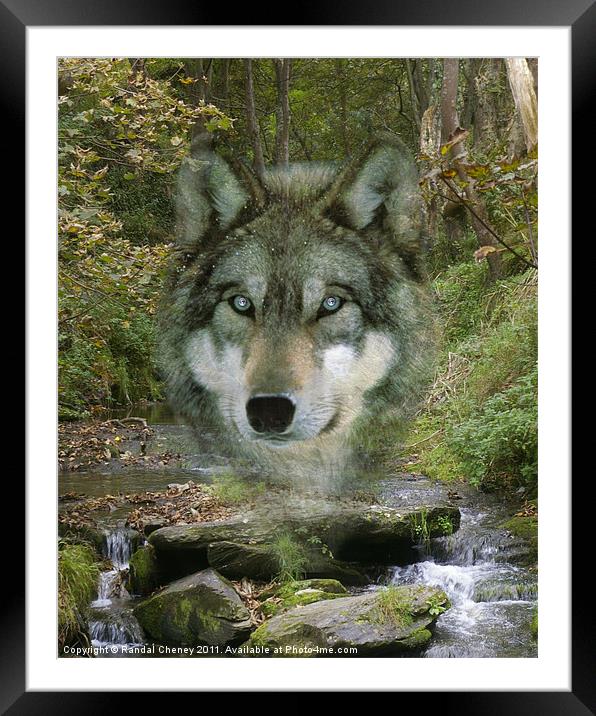 Wolf Spirit in The Rocky Valley Framed Mounted Print by Randal Cheney