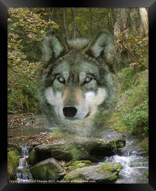 Wolf Spirit in The Rocky Valley Framed Print by Randal Cheney