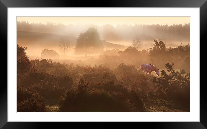  New Forest Dawn Framed Mounted Print by Ceri Jones