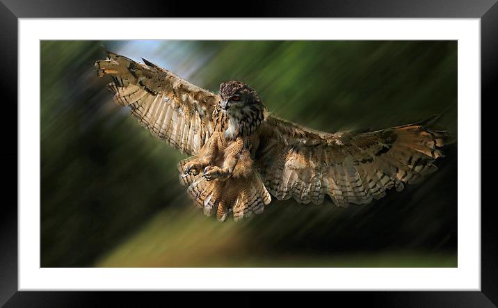  Coming in to Land Framed Mounted Print by Ceri Jones