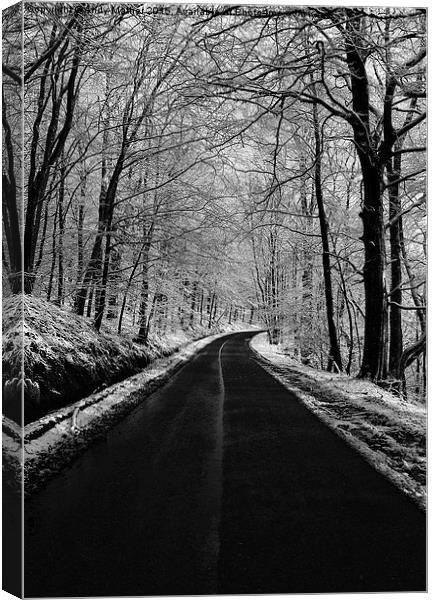  The Road to Winter Canvas Print by Andy Mather