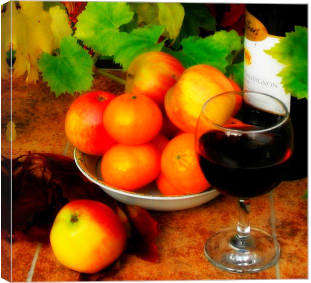  fruit and wine Canvas Print by sue davies