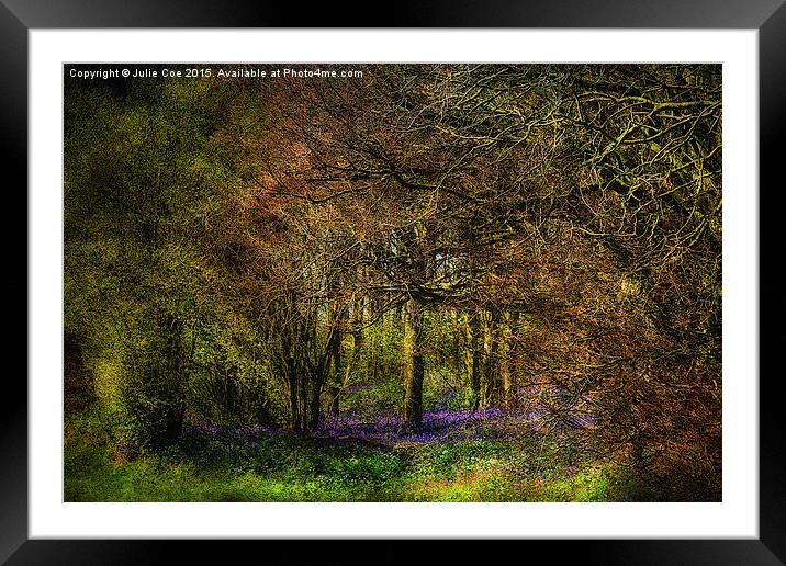 Bluebell Wood 2 Framed Mounted Print by Julie Coe
