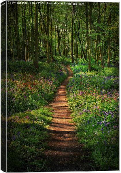 Bluebells and Campions 2 Canvas Print by Julie Coe