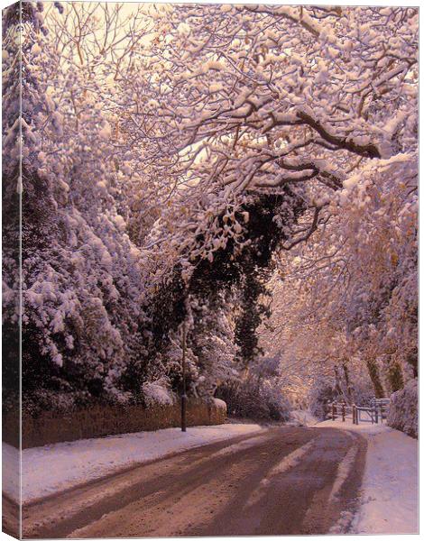  Late afternoon snow Canvas Print by sylvia scotting